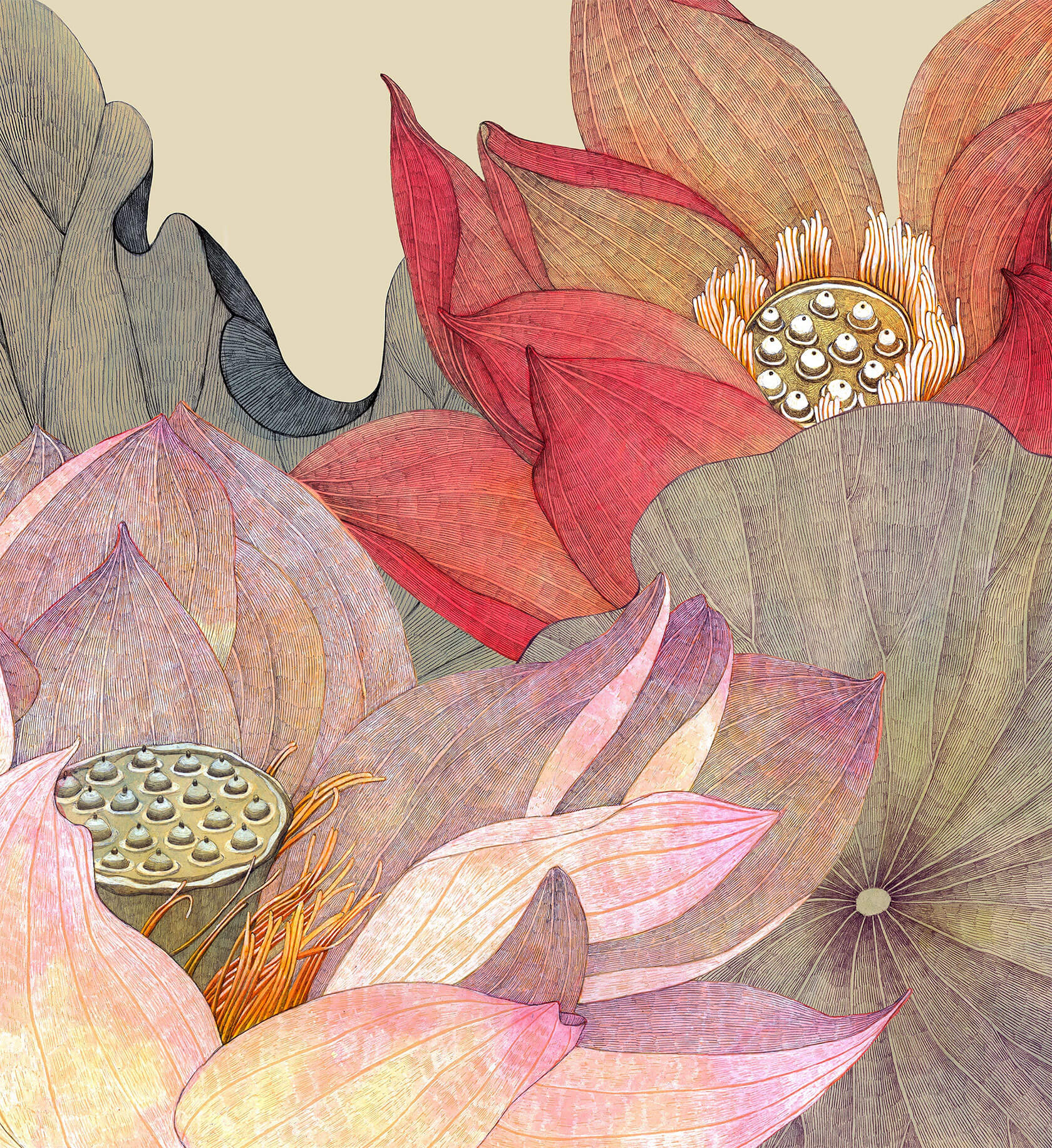 illustration-lina-kusaite-06.jpg